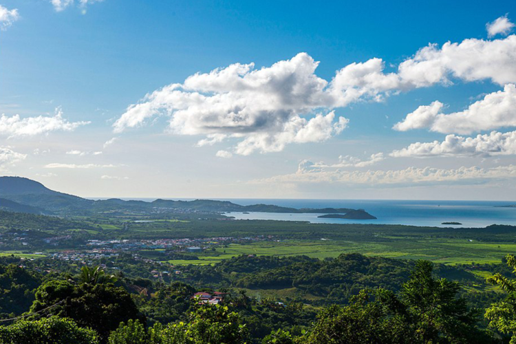 Compterendu des réunions Ville de Rivière Salée Martinique Biosphère